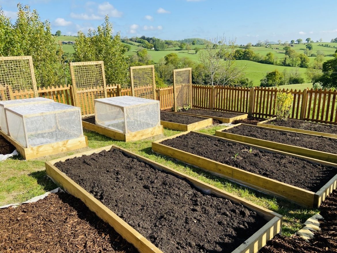 raised beds