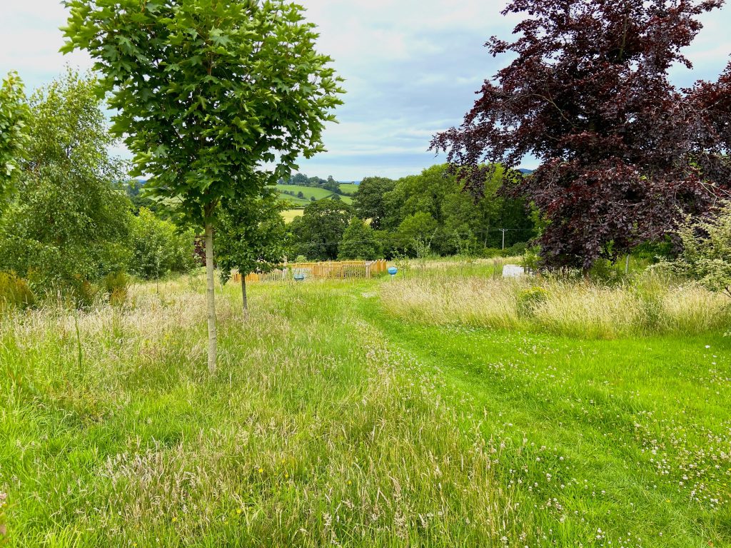 Rideon mower versus lawn tractor decision time » My Home Farm