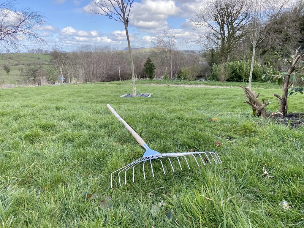 stainless steel lawn rake