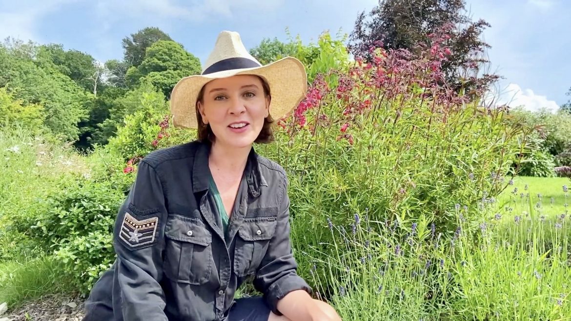 rabbit-proof-plants-5