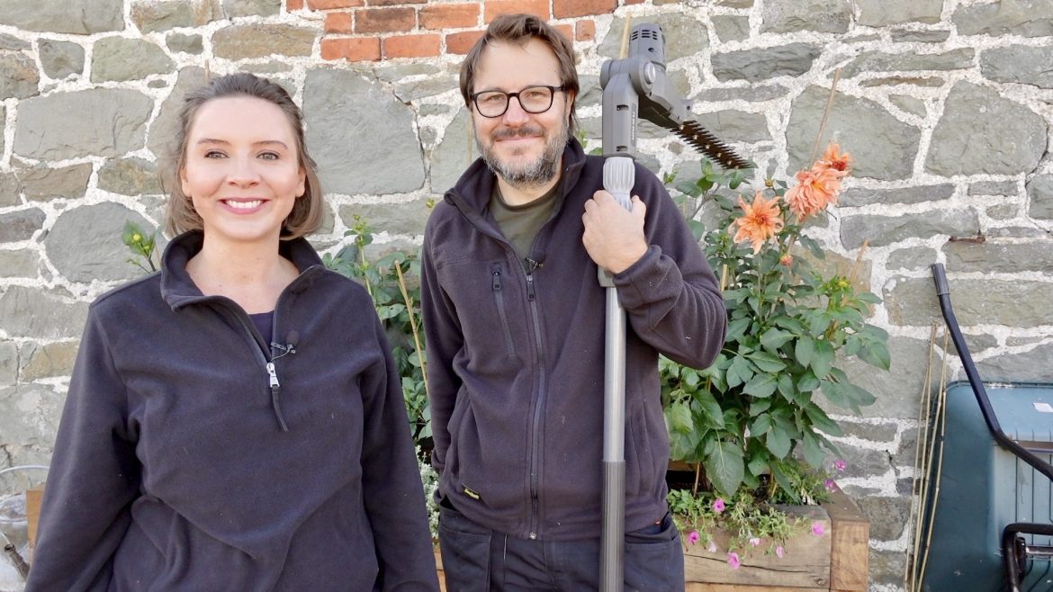 mountfield-hedge-trimmer-review