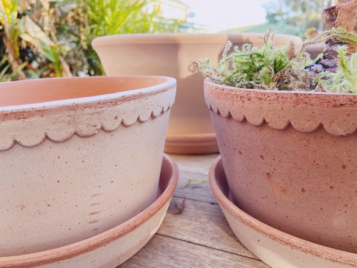 Clay Pots