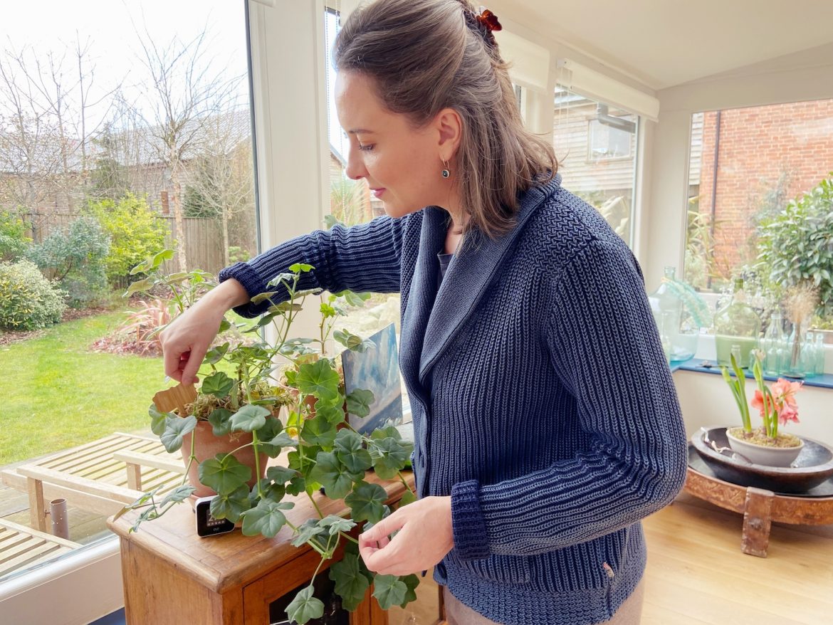 Making Sticky Gnat Tags Look Discreet