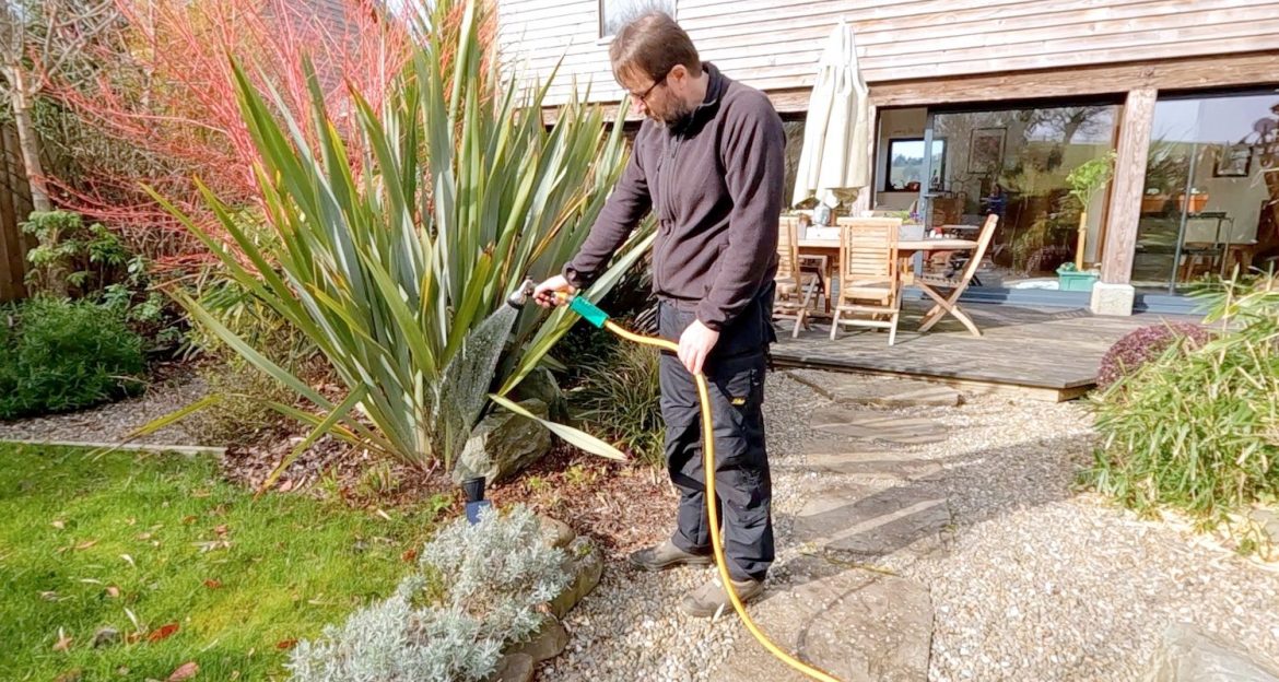 Plantsurge Plantsurge