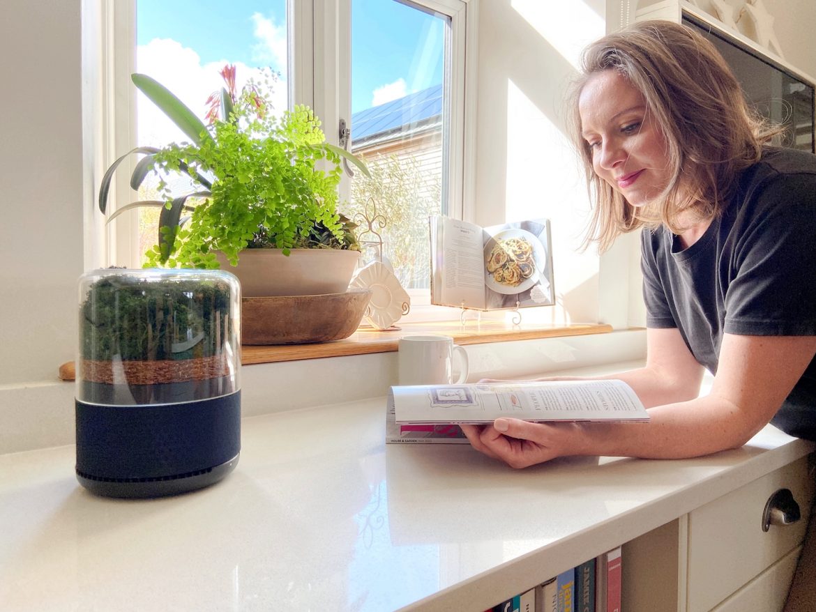 Briiv Air Purifier Review Briiv Air Purifier Review