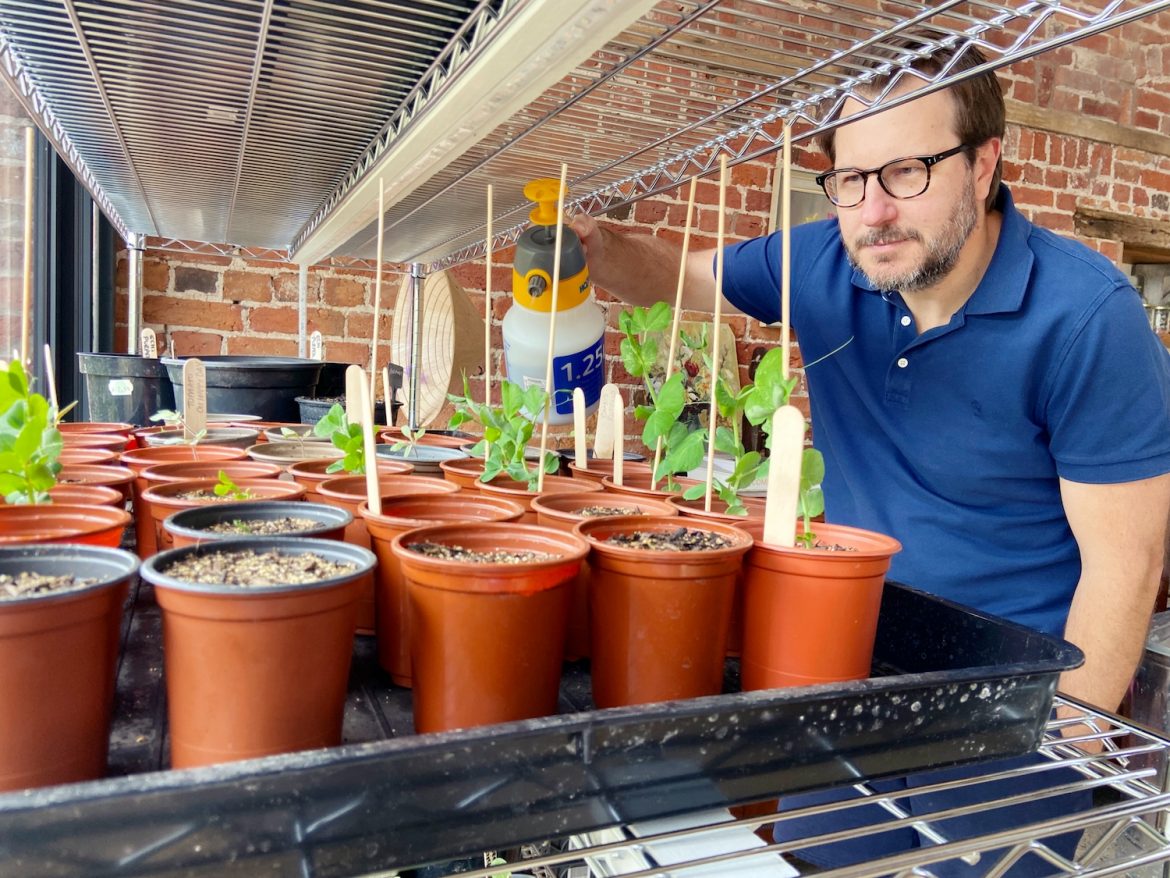 Magnetised water Magnetised water