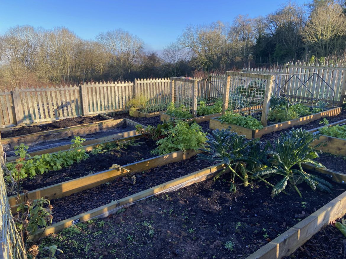 winter-veg-garden-jobs