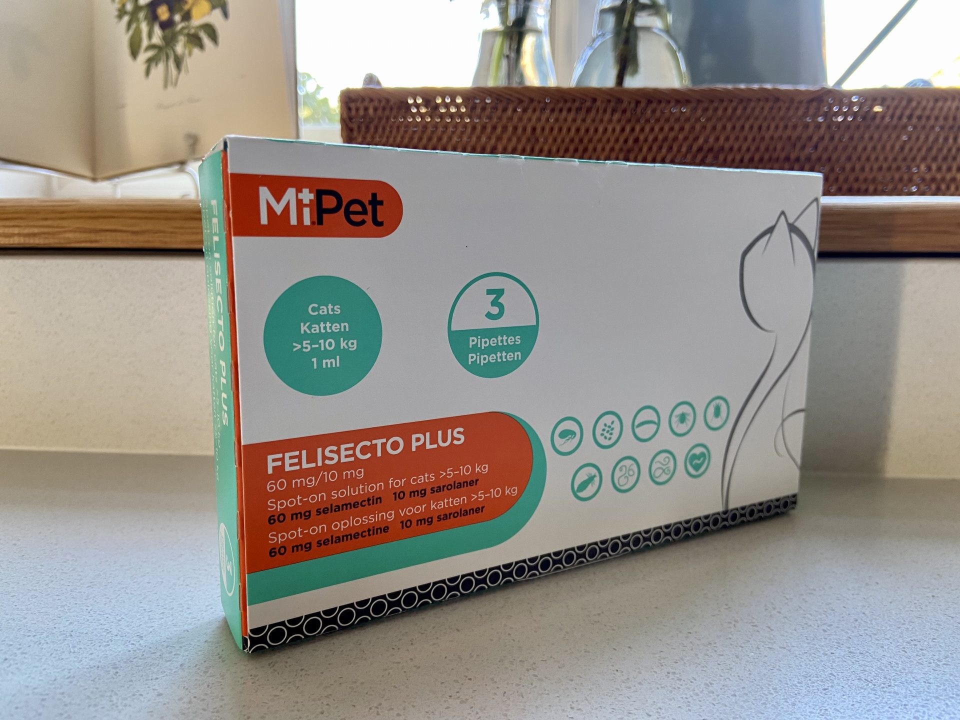 Our cats allergic reaction to flea & tick spot on » My Home Farm