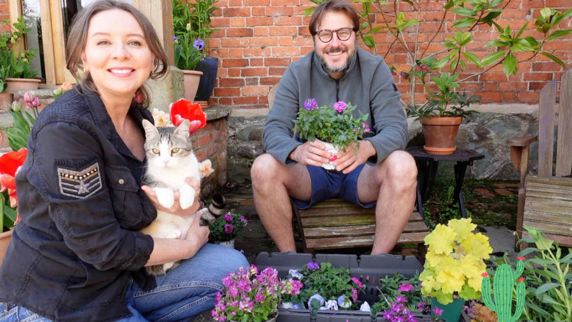 Flowers we are growing this year Flowers we are growing this year